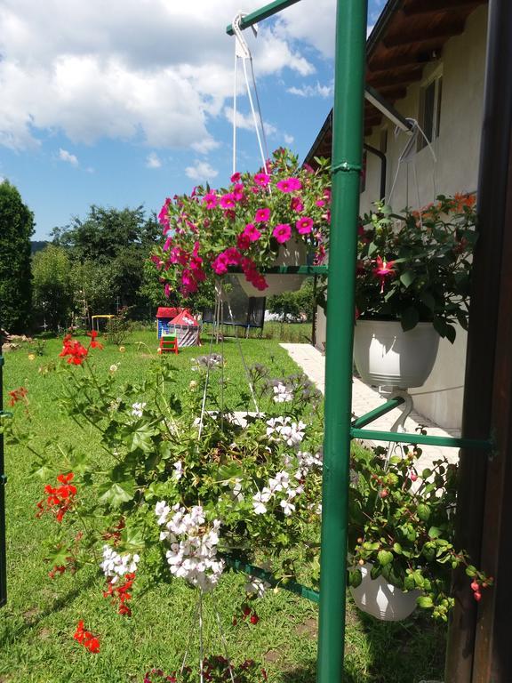 Casa Ariana Hotel Curtea De Arges Exterior photo